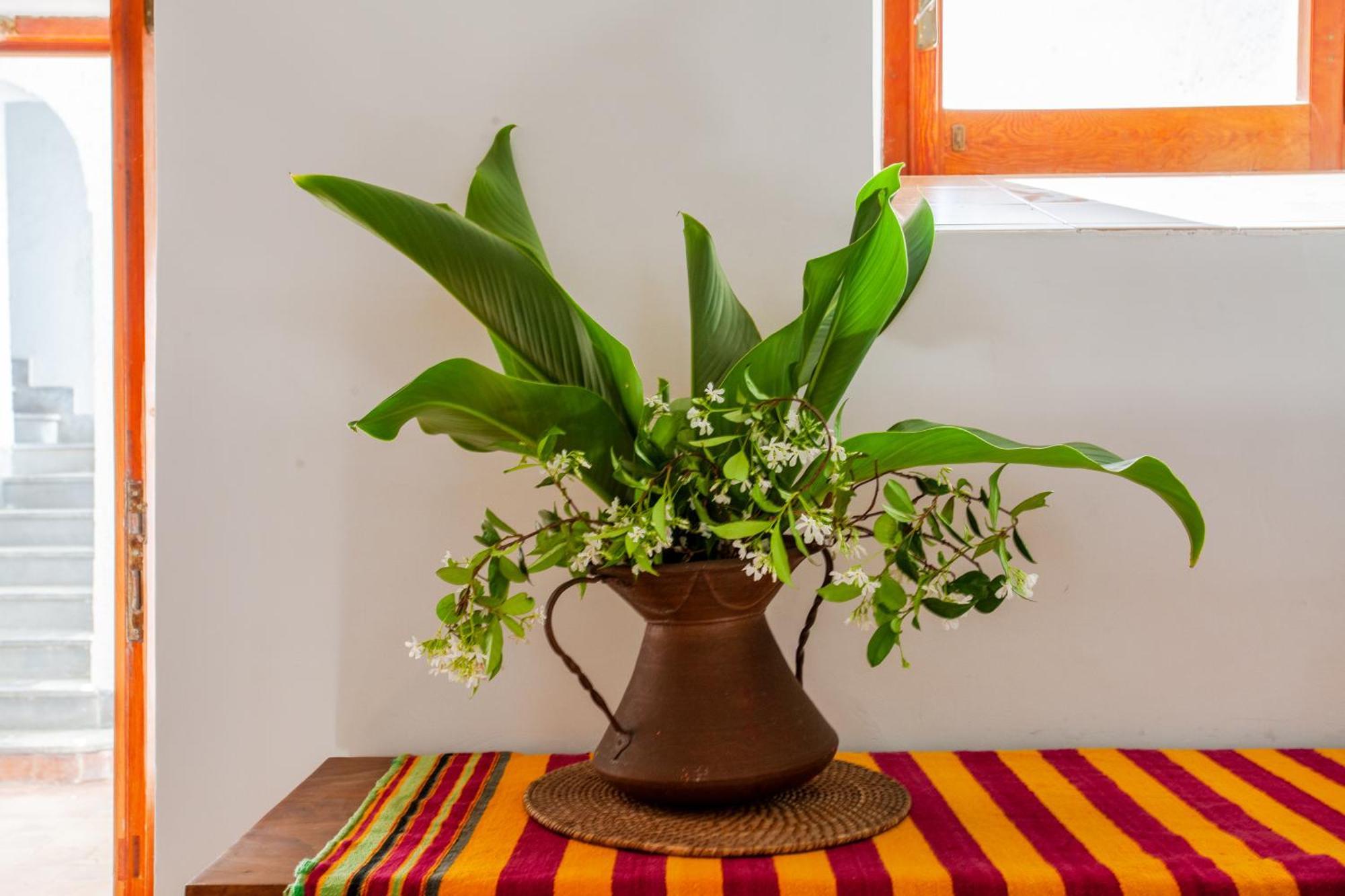 B&B 1787 In Montechiaro Vico Equense Ngoại thất bức ảnh